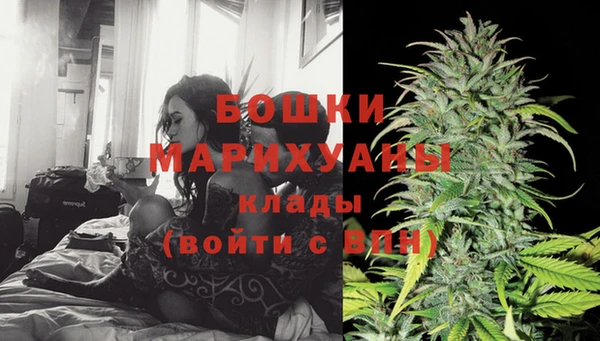 дживик Аркадак