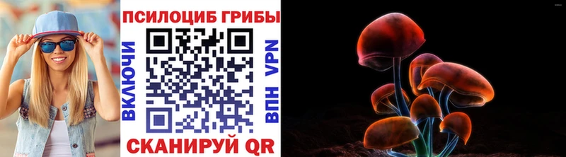 сколько стоит  гидра онион  Псилоцибиновые грибы ЛСД  Облучье 